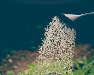 Gartenpflege in Essen — Beban Clean Gebäudereinigung